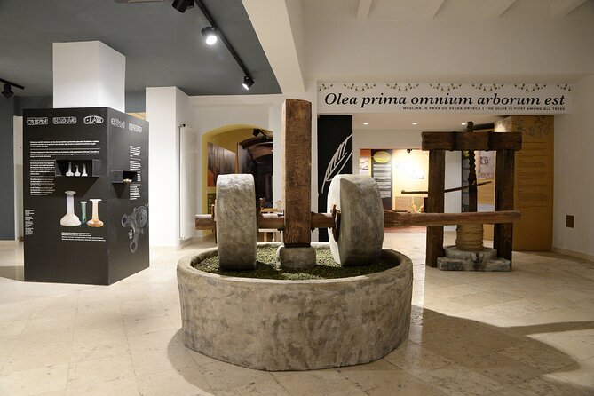 Olive Oil Guided Tasting and History in Pula - How the sensory tasting works