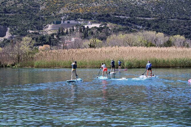 Ombla river Paddleboarding tour in Dubrovnik with snacks - Starting at Tenturija in Komolac