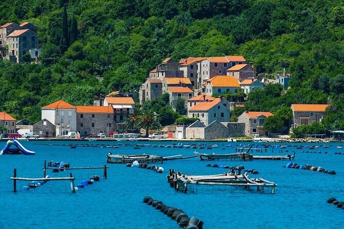 Oyster farm experience / Private day trip from Dubrovnik - Why the Mali Ston oyster stop matters