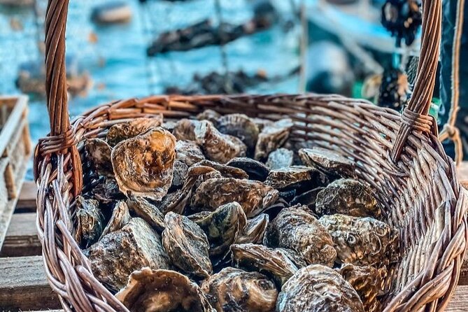 Oyster farm experience / Private day trip from Dubrovnik - Is $258.30 per person a good value?