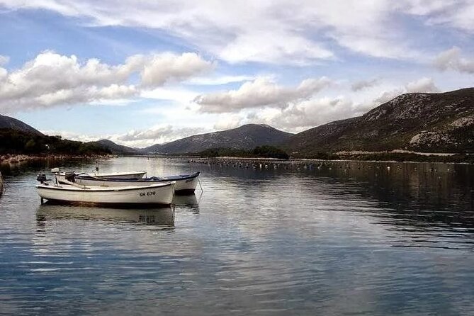 Oysters and mussels tasting with wine in Ston and Pelješac - At a glance