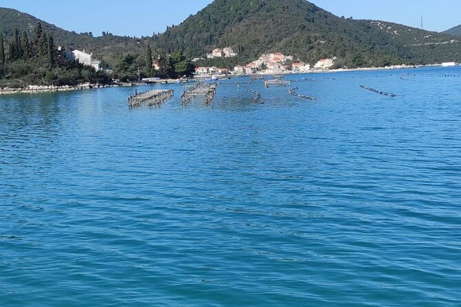 Oysters and mussels tasting with wine in Ston and Pelješac - Why the shellfish stop is the heart of the day