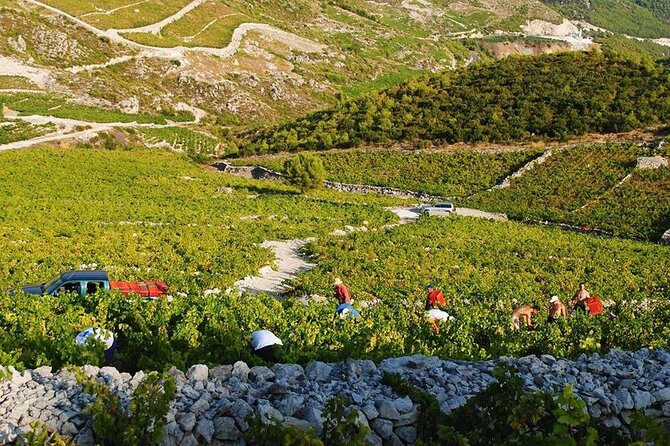Oysters & Wine Tour From Dubrovnik (Small Group) - Taking the boat to the Mali Ston oyster farm