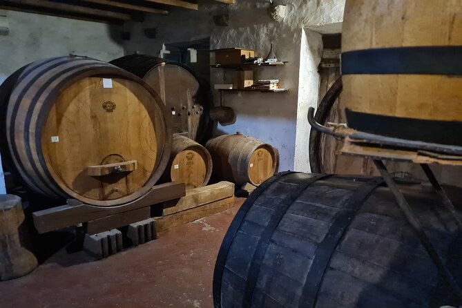 Oysters & Wine Tour From Dubrovnik (Small Group) - Guides, vehicles, and the small-group setup