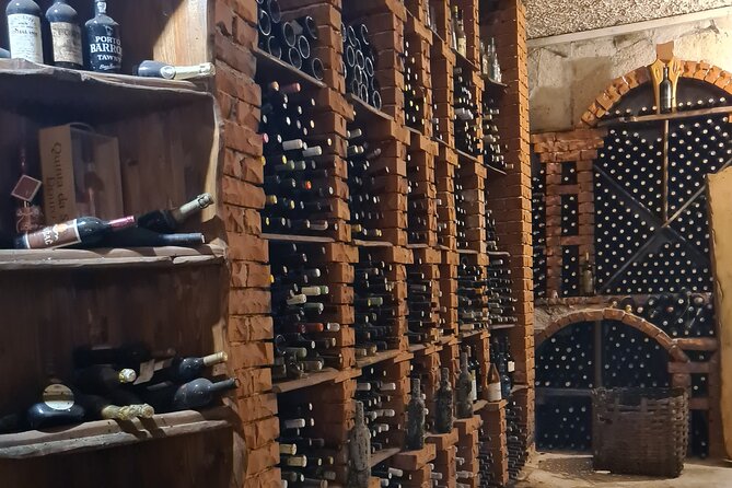 Oysters & Wine Tour From Dubrovnik (Small Group) - Who will enjoy this experience most