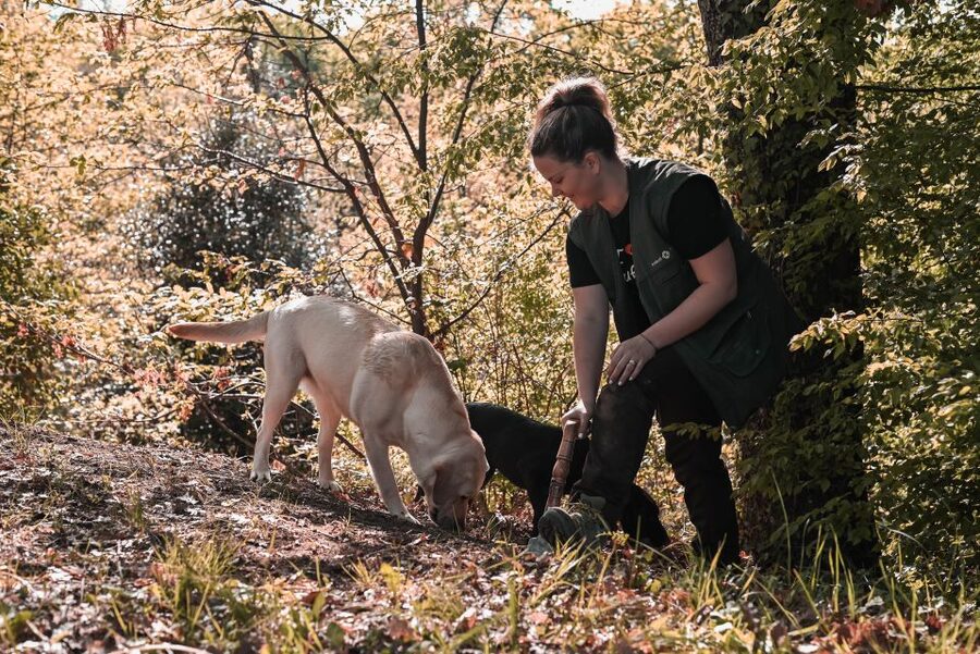 Paladini: Truffle Hunting Tour with 3-Course Tasting Menu - Why this truffle tour feels different