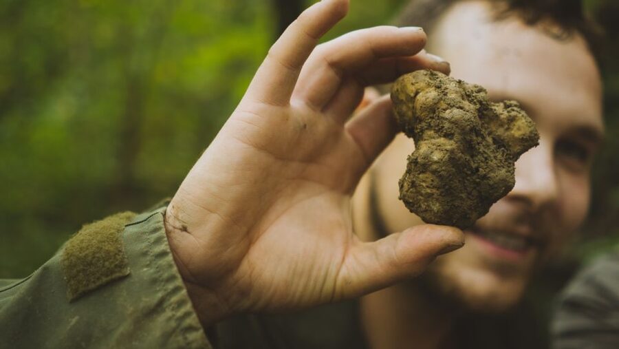 Paladini: Truffle Hunting Tour with 3-Course Tasting Menu - From the plantation to the old forest