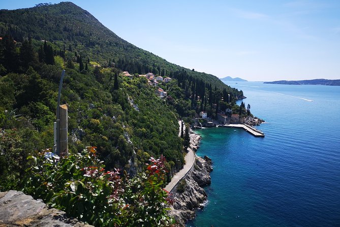 Panorama Dubrovnik & Arboretum Trsteno PRIVATE TOUR - Private pickup makes the short schedule practical
