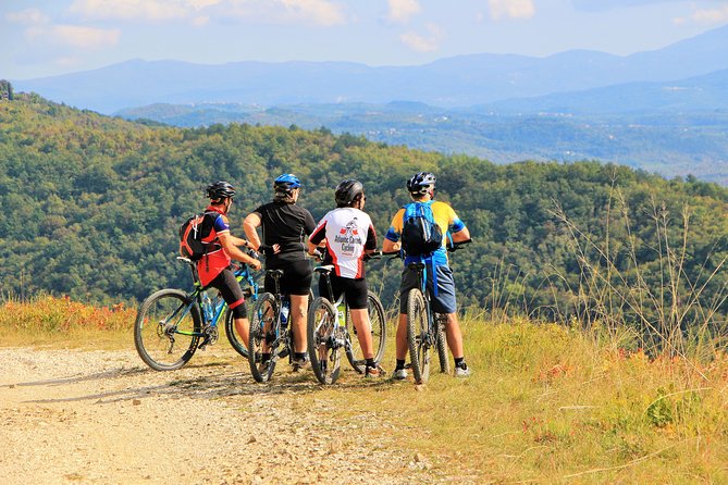 Parenzana Trail Full Day Cycling Tour from Pula, Rovinj, Poreč or Buje - Livade and the changing views over the Mirna Valley