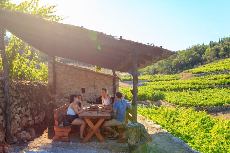 Pelješac Full-Day Wine and Food Tour from Dubrovnik - Key points to know before booking