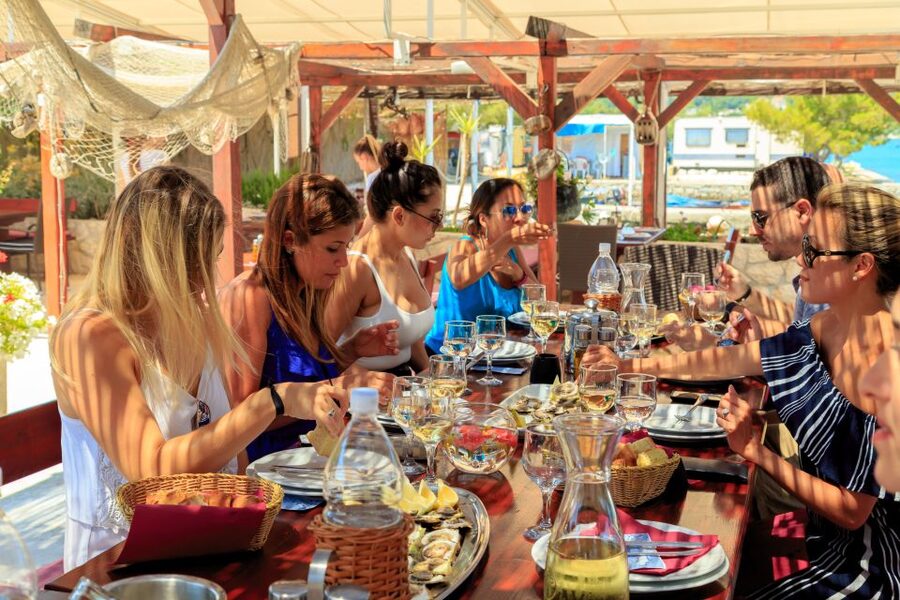 Pelješac Full-Day Wine and Food Tour from Dubrovnik - Steep vineyards and the Plavac Mali country