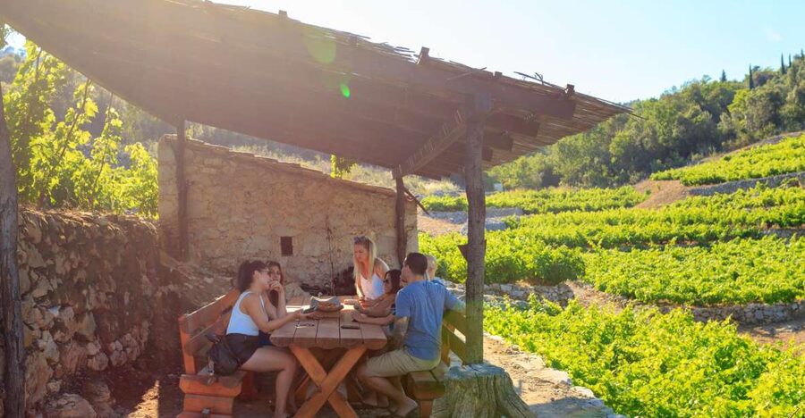 Pelješac Full-Day Wine and Food Tour from Dubrovnik - Ston: medieval walls and old salt works
