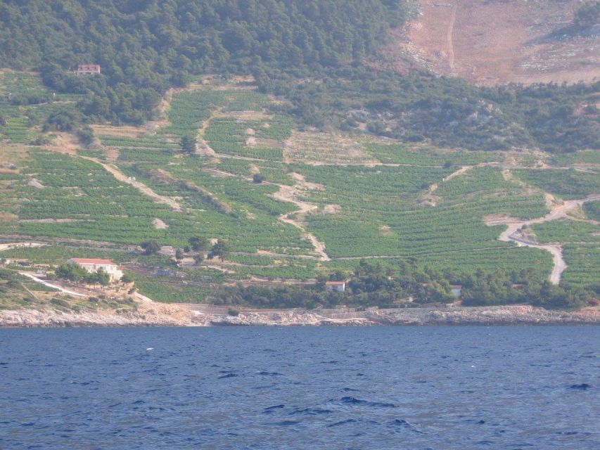 Peljesac Peninsula & Korcula Island Day-Trip from Dubrovnik - Should you book it?