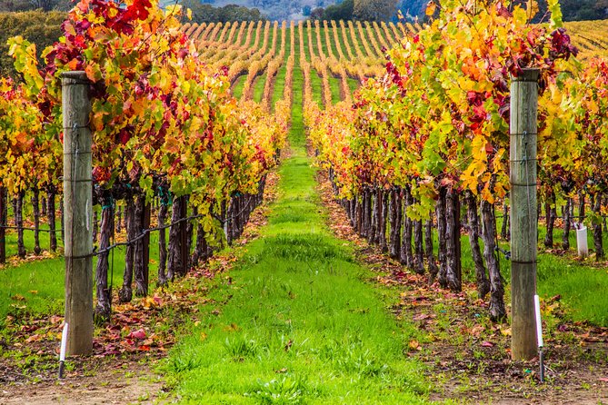 Peljesac Peninsula Wine Tasting Luxury Tour from Dubrovnik - Seven hours on the peninsula