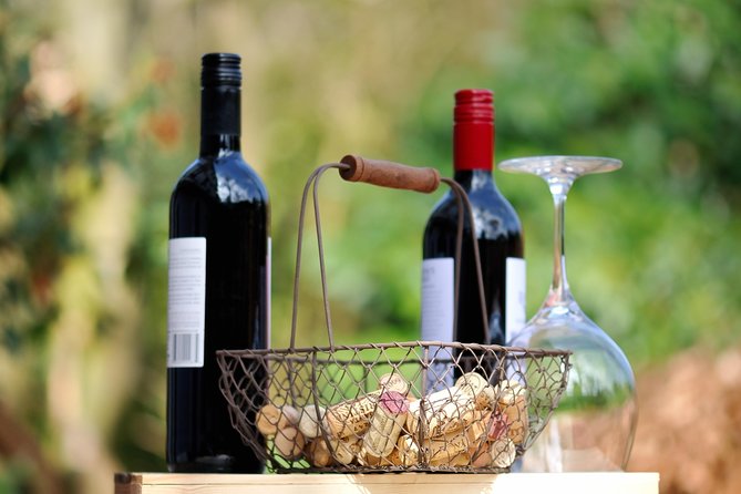 Peljesac Peninsula Wine Tasting Luxury Tour from Dubrovnik - What is included, and what you still pay for