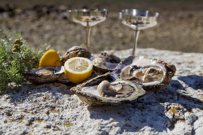 Peljesac Peninsula Wine Tasting Luxury Tour from Dubrovnik - Who will get the most from this private day