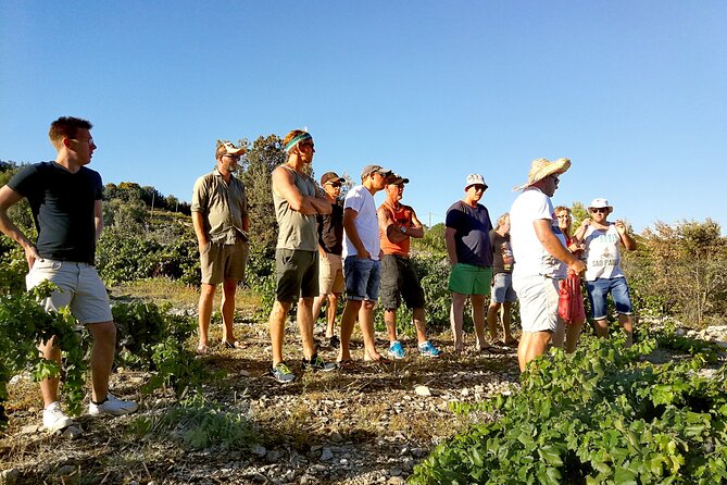 Peljesac&Ston Small-Group Food & Wine Experience from Dubrovnik - The pace, vehicle, and group size