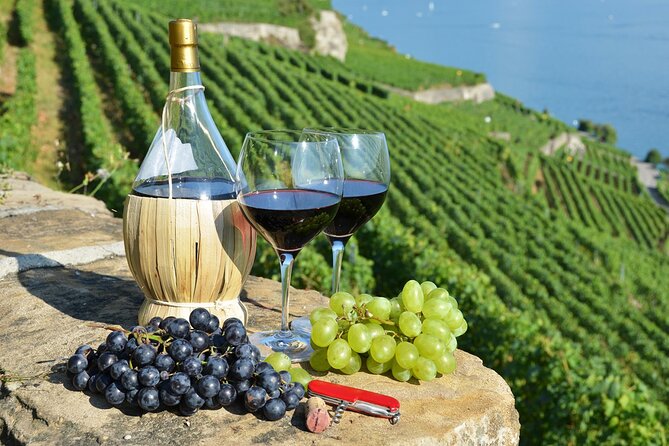 Peljesac Vineyards & Oysters - Private Day Trip from Dubrovnik-Mercedes Vehicle - Key points to know before booking