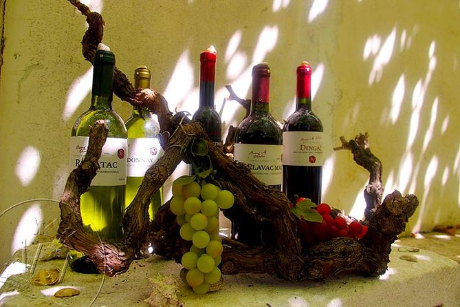 Peljesac Vineyards & Oysters - Private Day Trip from Dubrovnik-Mercedes Vehicle - Ston’s walls and salt flats in 30 minutes