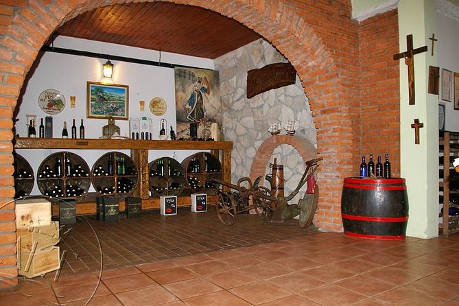 Peljesac Vineyards & Oysters - Private Day Trip from Dubrovnik-Mercedes Vehicle - What the private Mercedes setup adds