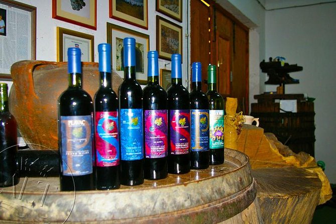 Peljesac Vineyards & Oysters - Private Day Trip from Dubrovnik-Mercedes Vehicle - Timing, food, and what to bring