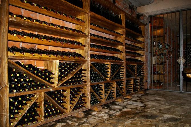 Peljesac Vineyards & Oysters - Private Day Trip from Dubrovnik-Mercedes Vehicle - Who will get the most from this day
