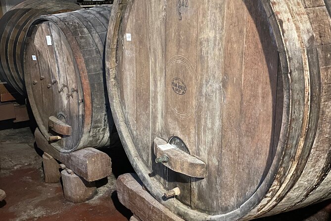 Pelješac - Wine, Oysters and Food Experience from Dubrovnik - Hodilje and the taste of the sea