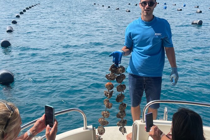 Pelješac - Wine, Oysters and Food Experience from Dubrovnik - The Mount Srđ view back over Dubrovnik