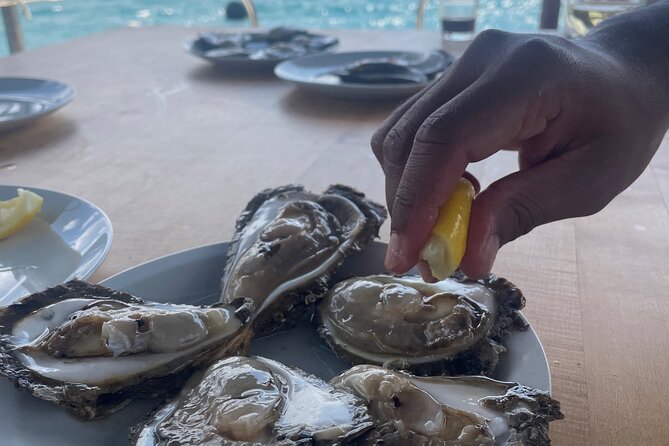 Pelješac - Wine, Oysters and Food Experience from Dubrovnik - First winery: wine, liqueur, and a family welcome