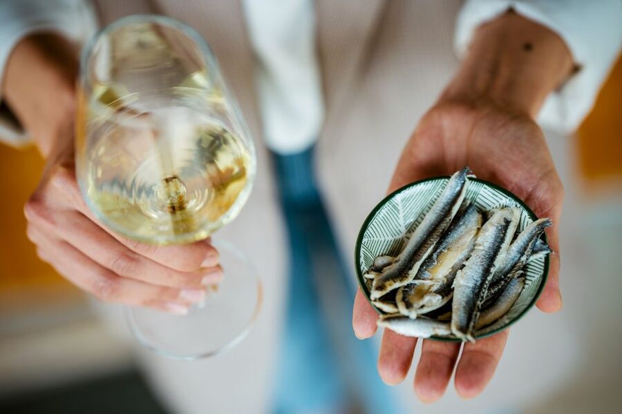 Pelješac wine tasting and local winery visit - The opening tour: production beside the tasting room