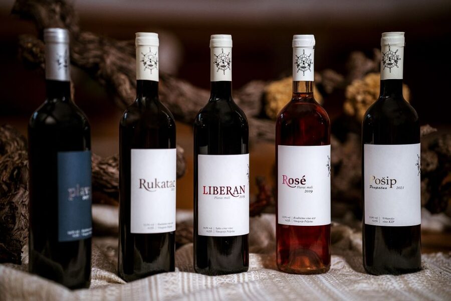 Pelješac wine tasting and local winery visit - Is $43 a good value?