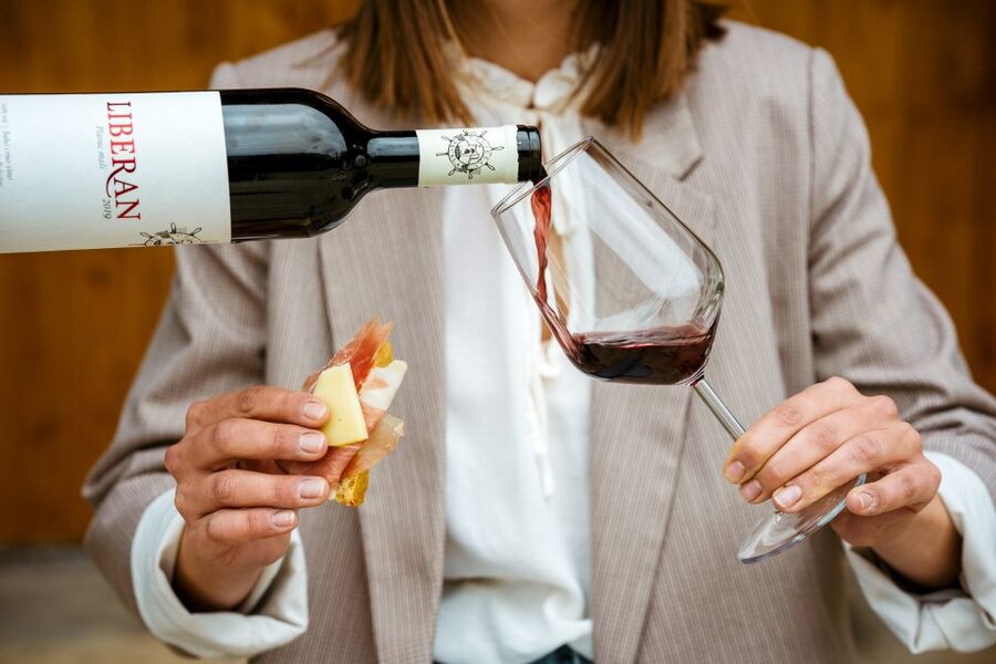 Pelješac wine tasting and local winery visit - Timing, access, and practical planning