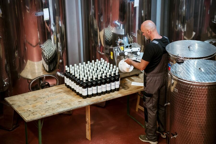 Pelješac wine tasting and local winery visit - What could be better