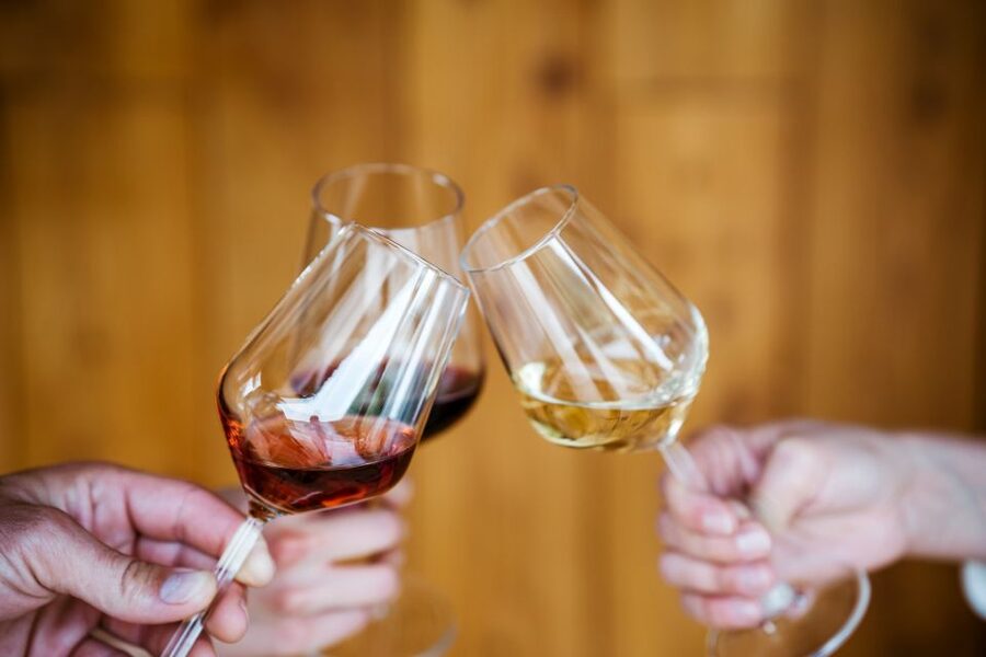 Pelješac wine tasting and local winery visit - Who should book this Pelješac tasting?