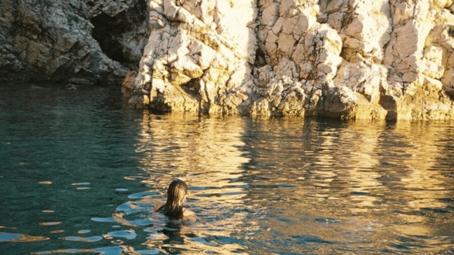Plavnik Island: A public half day boat tour - Key points at a glance