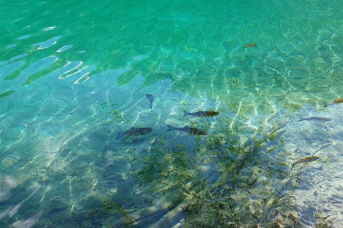 Plitvice Lakes Day Tour from Zadar, Simple and Safe - Why Plitvice Lakes is worth the ride from Zadar