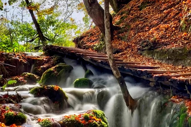 Plitvice Lakes National Park - private day-trip from Zagreb - Why a private van can be worth the price