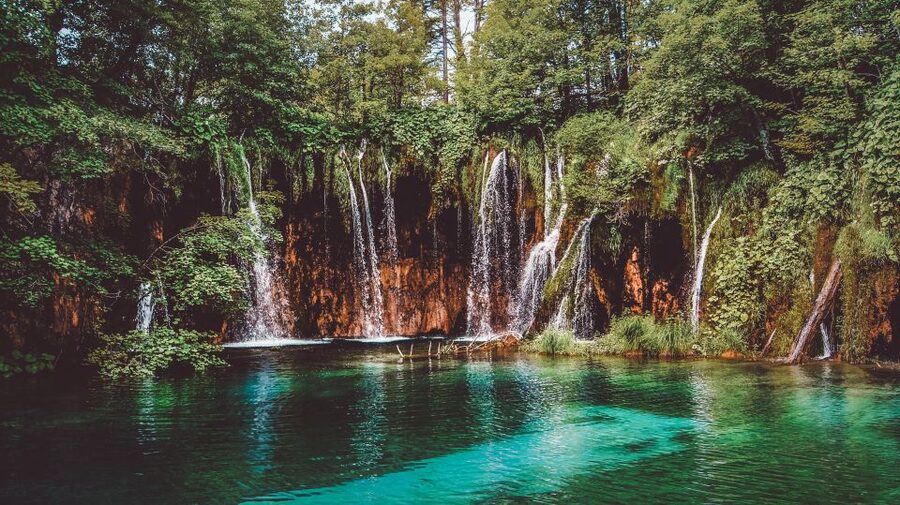 Plitvice Lakes National Park: Private Tour from Zadar - What a private guide adds to the day