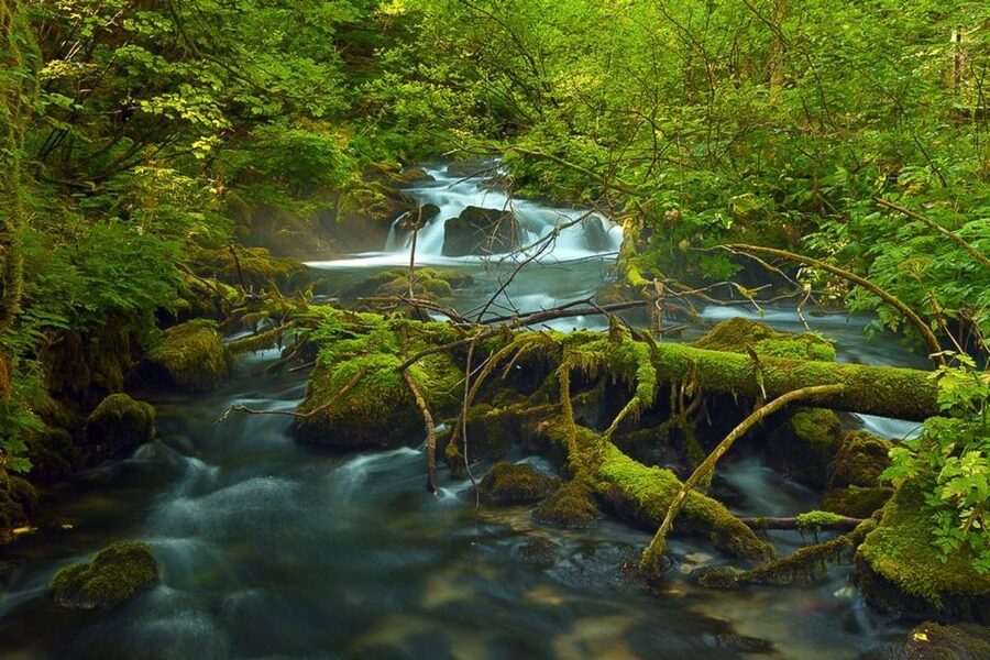 Plitvice Lakes Private Guided Tour - How the itinerary works on the ground