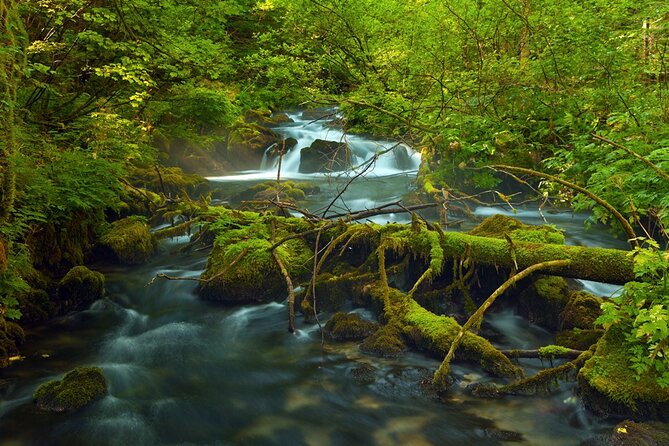 Plitvice Lakes Private Guided Walking Tour - Why a private guide helps at Plitvice Lakes