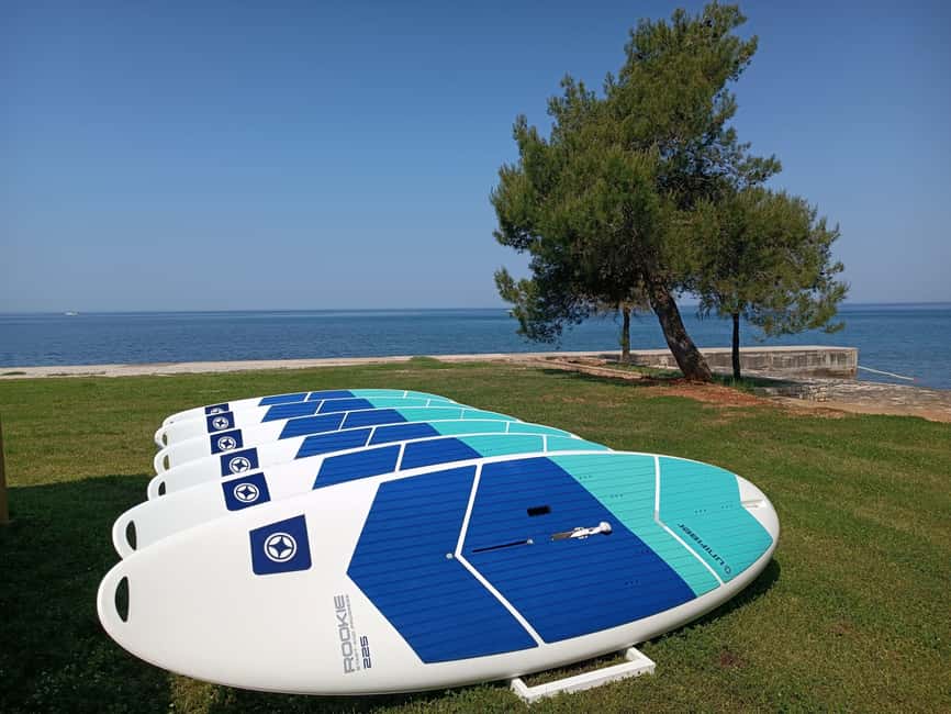 Poreč: 2-hour windsurfing lesson - Key points at a glance