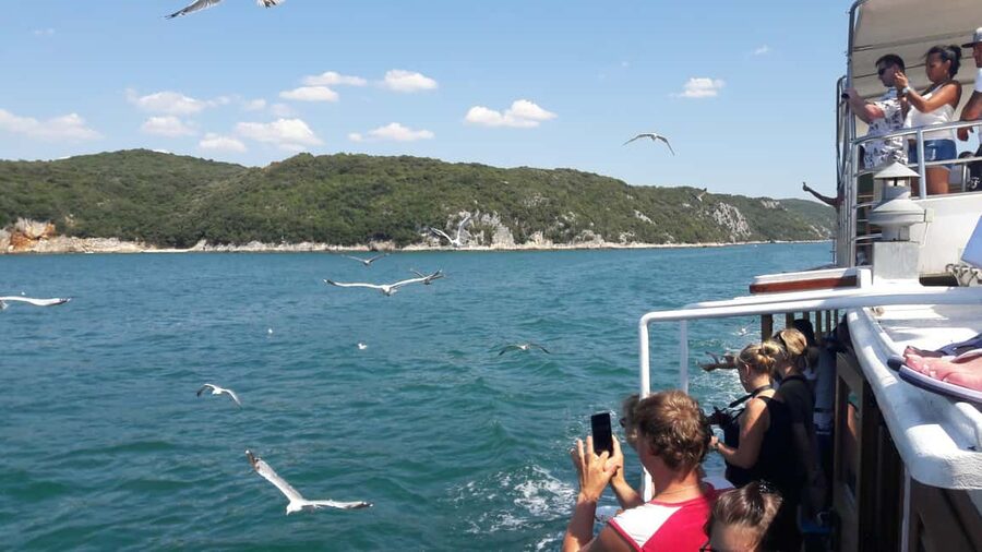 Poreč: Boat tour to Rovinj with lunch and drinks - Three hours to find your own Rovinj
