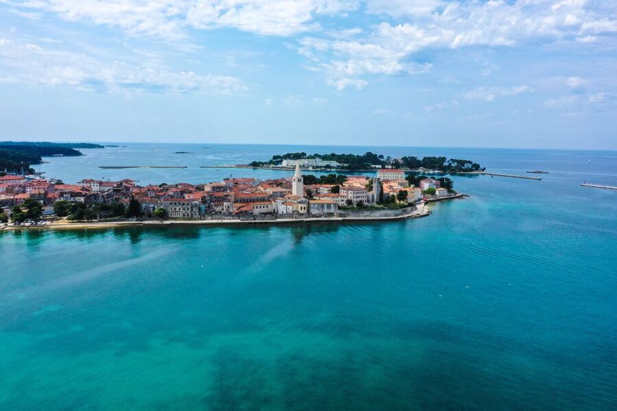 Poreč: Dolphin Spotting Cruise with Included Drinks - The Crew and Mood on Board