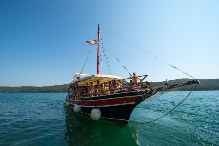Poreč: Evening Boat Trip to Discover Dolphins - Searching for dolphins in their own environment