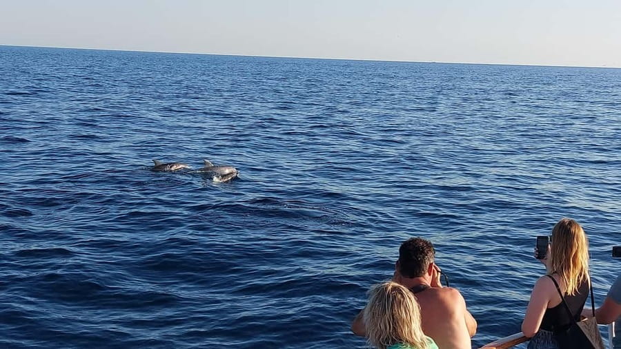 Poreč: Sunset Dolphin Safari with Dinner and Drinks - Sunset over the west coast of Istria