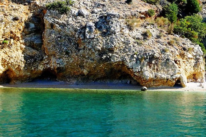 Private 7,5h Plavnik Island & Wild Bays Full-day Boat Trip - What the private format changes