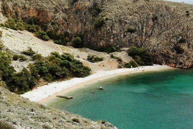 Private 7,5h Plavnik Island & Wild Bays Full-day Boat Trip - Plavnik Island and its griffon vultures