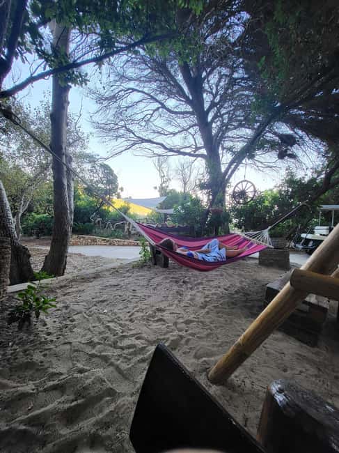 Private Boat Tour Tailor-Made 6h-All Inclusive - Swim stops, sandy beaches, and clear water