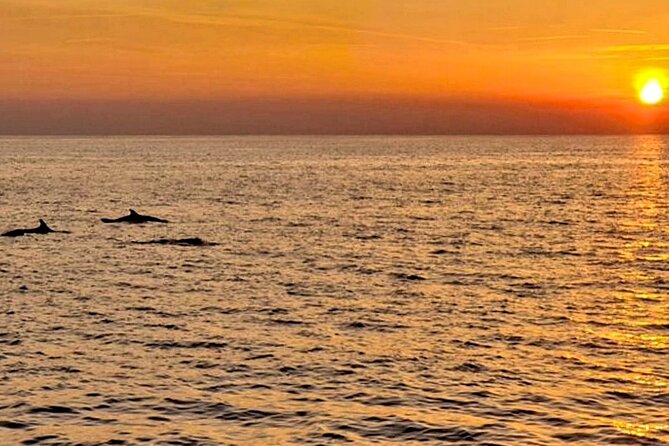 Private Boat Tour with activities in Pula Croatia - How private space changes the experience