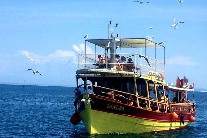 Private Boat Trip with Sandra Boat Medulin, Kamenjak, Ceja - Who should book this Medulin boat trip?